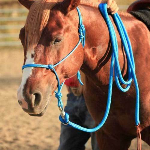 Lot new rope halter - 6, pc