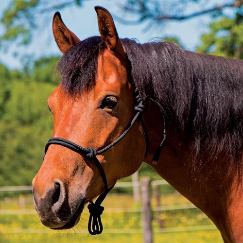 Natural horsemanship rope - natural,