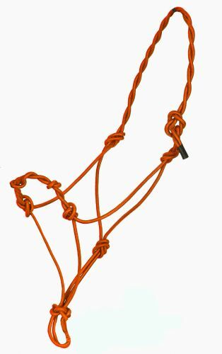 Natural horsemanship bitless - horsemanship,