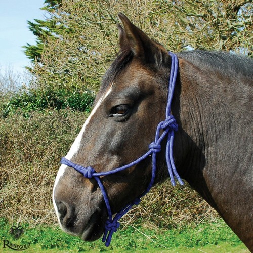 Rope halter headcollar - rope, halter/headcollar