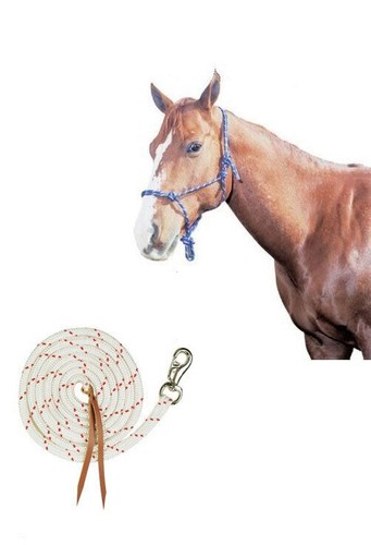 Natural horsemanship rope - natural,