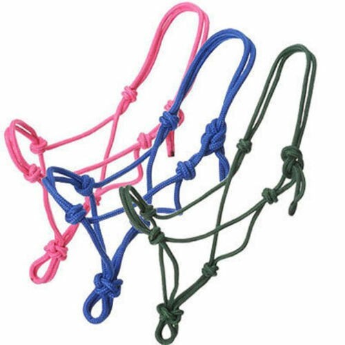 Lot mix color horse - 1,