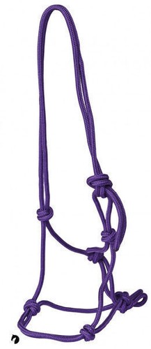 Natural horsemanship rope - horsemanship,