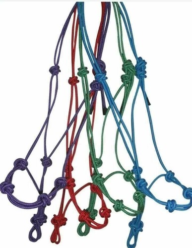 Horse rope halter - rope,